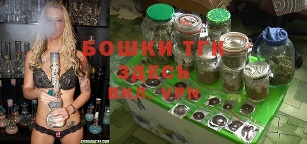 прущие крисы Арсеньев