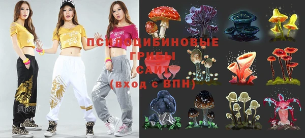 амф Аркадак
